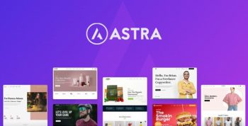 Astra Theme 4.11.8 + Portfolio 1.13.2 – Most Popular WordPress Theme
