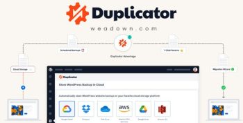 Duplicator Pro 4.5.22.4 – WordPress Backup and Migration Plugin