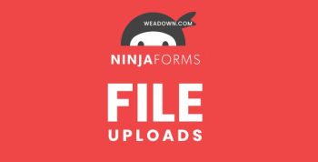 Ninja Forms File Uploads