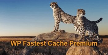 WP Fastest Cache Premium 1.7.2 – WordPress Cache Plugin