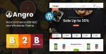 angro-1-6-1-woocommerce-b2b-wholesale-theme
