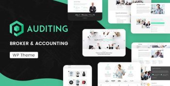 Auditing – Accounting Consultant, Finance WordPress Theme