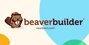 Beaver Builder Pro + Themer – WordPress Page Builder
