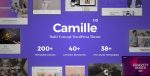 camille-1-8-0-multi-concept-wordpress-theme