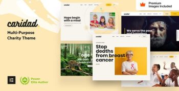 Caridad 26 – Charity WordPress Theme