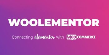 CoDesigner Pro (formerly Woolementor Pro) 4.7.6