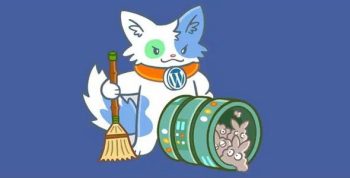 Database Cleaner Pro – Database Cleaner for WordPress