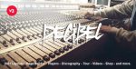 decibel-3-6-8-professional-music-wordpress-theme