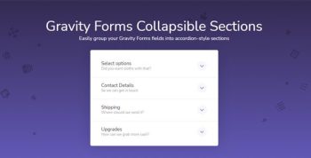 Gravity Forms Collapsible Sections 1.3.2