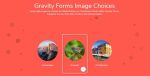gravity-forms-image-choices-1-3-66