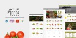 vegan-food-5-2-30-organic-store-farm-responsive-woocommerce-wordpress-theme