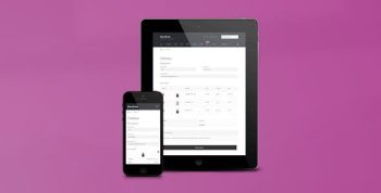 WooCommerce Direct Checkout Pro 3.3.4