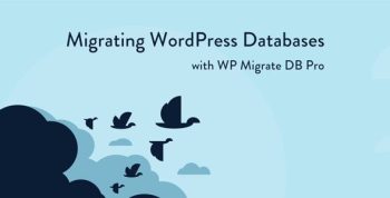 WP Migrate DB Pro – Migrating WordPress Databases